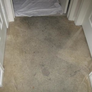 Carpet Cleaning Katy Texas