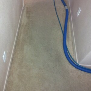 Carpet Dyeing in Katy, Texas - Before