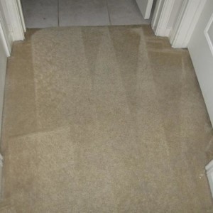 Carpet Cleaning Katy Texas
