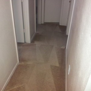 Carpet Dyeing in Katy, Texas - After