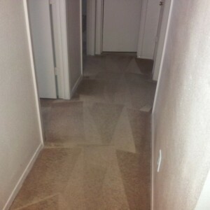 Carpet Dyeing in Katy, Texas - After