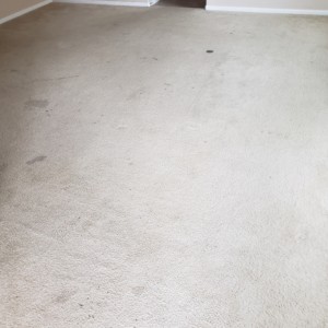 Carpet Cleaning in Katy, Texas