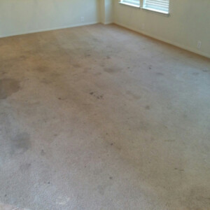 Carpet Dye in Katy, Texas - Before