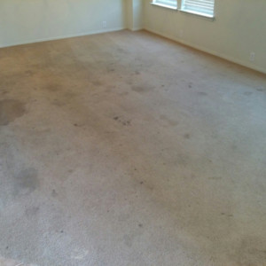 Carpet Dye in Katy, Texas - Before