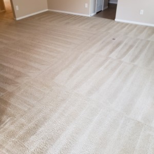 Carpet Cleaning in Katy, Texas