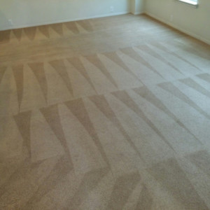 Carpet Dye in Katy, Texas - After