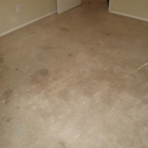 Katy Texas Carpet Cleaning