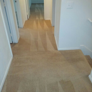Katy, Texas - Carpet Dyeing After