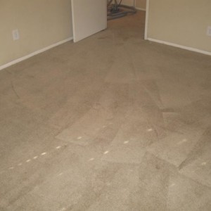 Katy Texas Carpet Cleaning