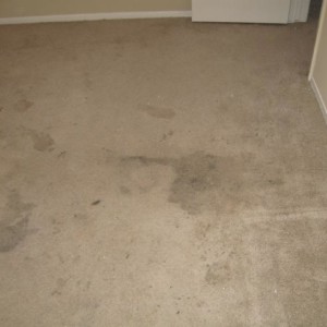 Carpet Cleaning Company Katy Texas
