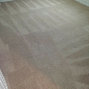 Carpet Dye in Katy, Texas - After