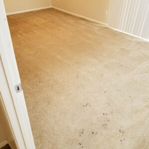 Carpet Dyeing Katy Texas - Before