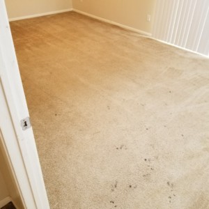 Carpet Dyeing Katy Texas - Before