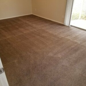 Carpet Dyeing Katy Texas - After