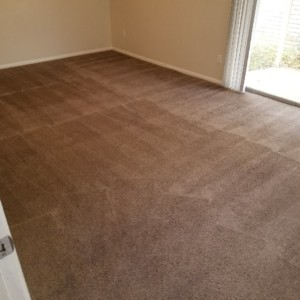 Carpet Dyeing Katy Texas - After