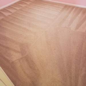 Katy Carpet Cleaning