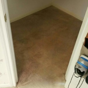 Katy Carpet Dyeing - Before & After