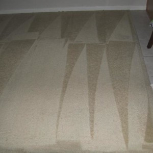 Carpet Cleaners Katy Texas