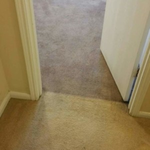 Katy Carpet Dyeing - Before & After