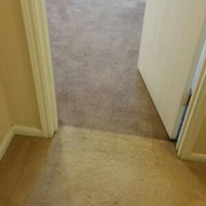 Katy Carpet Dyeing - Before & After