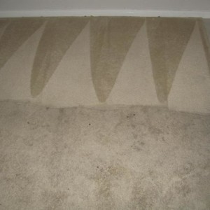 Katy Carpet Cleaners