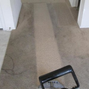 Carpet Steam Cleaning in Katy, Texas