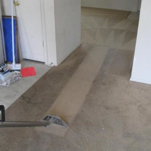 Katy, Texas Carpet Steam Cleaning