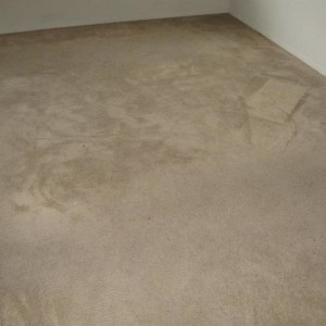 Carpet Cleaning Katy Texas