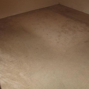 Katy Carpet Cleaning Company - Texas Steam Team