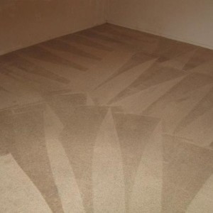 Katy Carpet Cleaning Company - Texas Steam Team