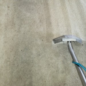 Carpet Cleaning Companies Katy Texas