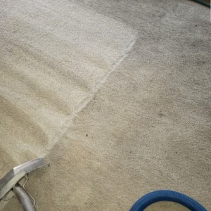 Katy, Texas Carpet Cleaning Company