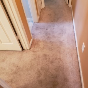 Carpet Stain Removal in Katy, Texas